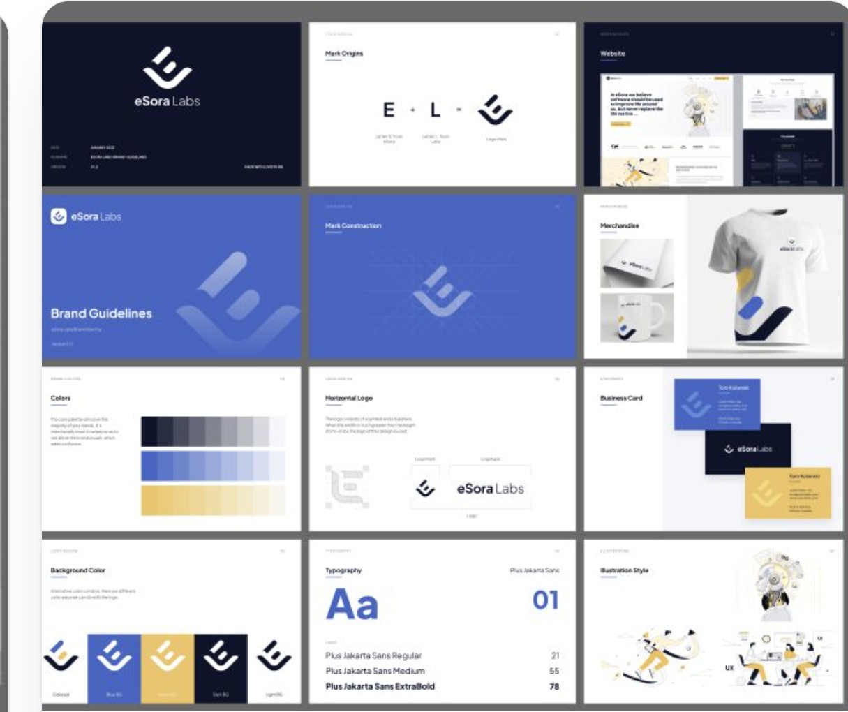 The real eSora Labs guideline system — the delivered brand board